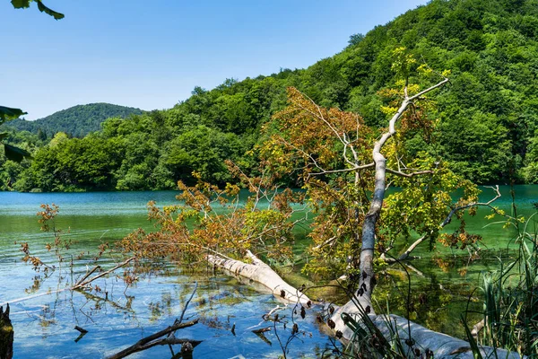 Όμορφο Τοπίο Στο Εθνικό Πάρκο Plitvice Lakes Στην Κροατία Ένα — Φωτογραφία Αρχείου