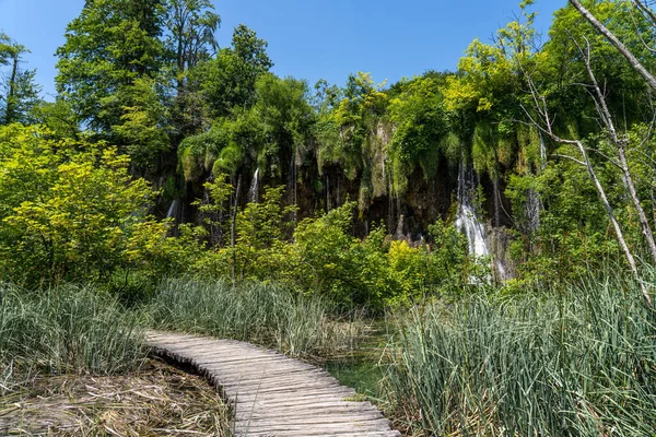 Houten Pad Nationaal Park Plitvice Kroatië Een Van Oudste Grootste — Stockfoto