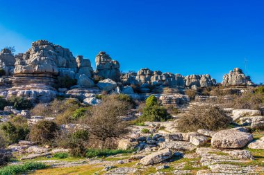 Kayaların eşsiz şekli, 150 milyon yıl önce Jurasik Çağı sırasında meydana gelen erozyondan kaynaklanmaktadır. Tüm dağ, deniz suyu altındaydı. Torcal de Antequera