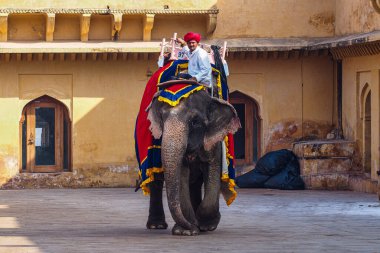 Jaipur, Hindistan - Ocak 05, 2020: Turistler Jaipur, Rajasthan, Hindistan 'daki Amber Kalesi' ne süslü fillerle gidiyorlar.