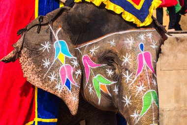 Jaipur, Hindistan - Ocak 05, 2020: Jaipur, Rajasthan, Hindistan 'daki Amber Kalesi yolunda süslenmiş fil.