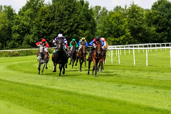 Münih, Almanya - 07 Ekim 2019: Münih-Riem, Almanya, Avrupa 'da at yarışı