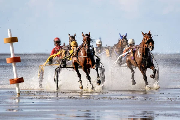 ドイツ クックスハーフェン 2019年8月25日 ドイツのドゥーナー ヴァトレンネンで開催される泥のフラットの馬レースでの乗馬 — ストック写真