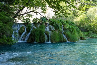 Hırvatistan 'ın Plitvice Gölleri Ulusal Parkı' nda turkuaz suyla şelalenin görkemli manzarası. Avrupa. Hırvatistan 'ın en eski ve en büyük ulusal parklarından biri. UNESCO Dünya Mirası
