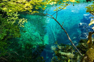 Hırvatistan 'daki Plitvice Gölleri Ulusal Parkı' nın güzel manzarası. Hırvatistan 'ın en eski ve en büyük ulusal parklarından biri. 1979 yılında UNESCO Dünya Mirası 'na eklendi.
