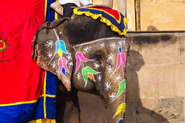 Jaipur India Gennaio 2020 Elefante Decorato Lungo Strada Amber Fort — Foto Stock