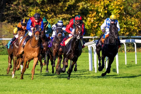 Munique Alemanha Outubro 2019 Corrida Cavalos Hipódromo Munique Riem Alemanha — Fotografia de Stock