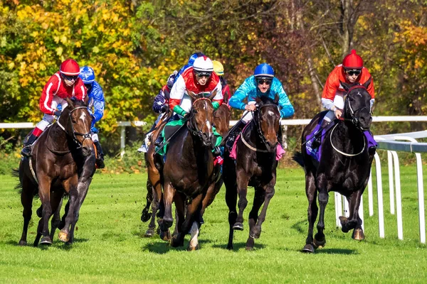 Munich Alemania Oct 2019 Carreras Caballos Hipódromo Munich Riem Alemania —  Fotos de Stock