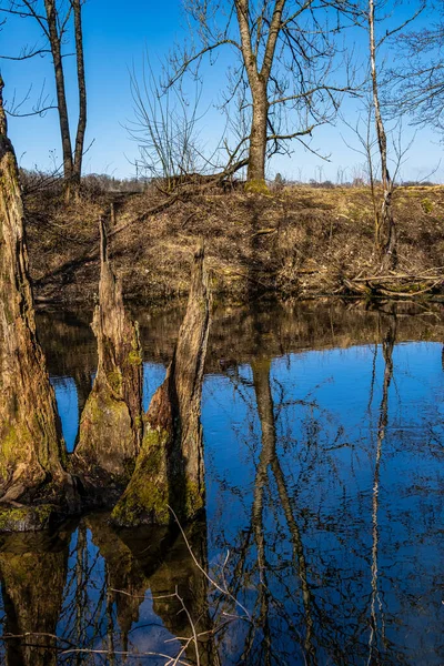 Schöner Waldwanderweg Der Reismühle Gauting Würmtal Bei Starnberg Bayern — Stockfoto