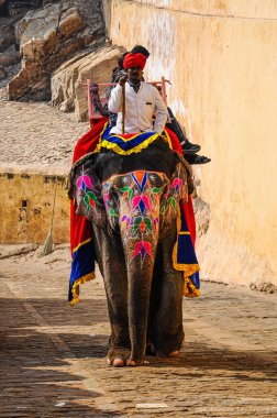 Jaipur, Hindistan - Ocak 05, 2020: Turistler Jaipur, Rajasthan, Hindistan 'daki Amber Kalesi' ne süslü fillerle gidiyorlar.