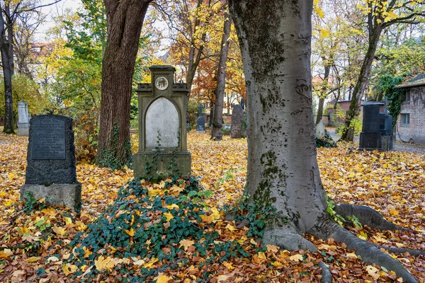 Munich Germany Nov 2020 View Famous Old North Cemetery Munich — Stock Photo, Image