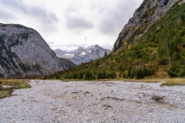 Ahornboden 'daki akçaağaç ağaçlarının sonbahar manzarası, Karwendel dağları, Tyrol, Avusturya