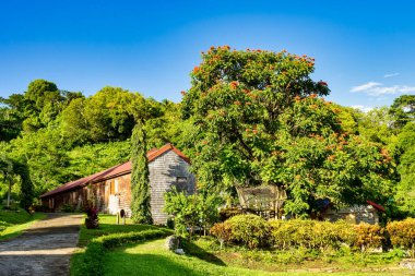 Grenada 'daki çikolata fabrikası. Karayip Jouvay Çiftliği, Küçük Antiller, Batı Hint Adaları