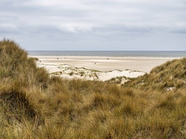 Kuzey Friesland, Almanya 'daki Amrum adasındaki Merdiven adlı kum tepeciği manzarası.