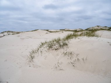 Kuzey Friesland, Almanya 'daki Amrum adasındaki Merdiven adlı kum tepeciği manzarası.