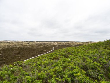 Kuzey Friesland, Almanya 'daki Amrum adasındaki Planks Yolu adlı kum tepeciği manzarası.