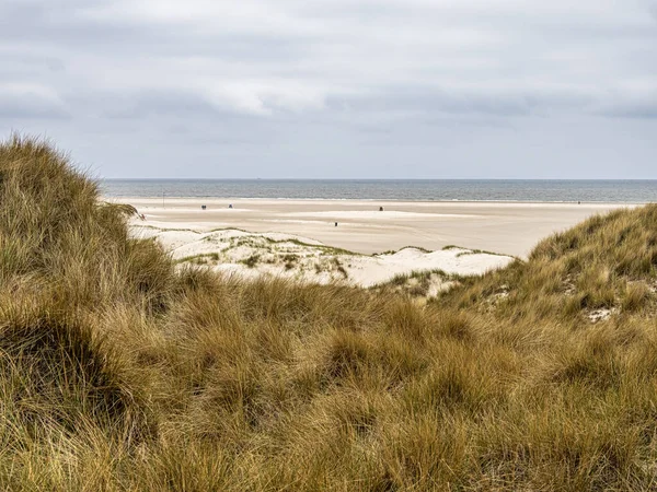 Sand Dune Landscape Called Ladder Heaven Island Amrum Germany North — Stock Photo, Image