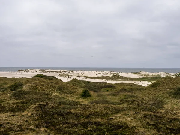 德国北部弗里斯兰岛上的沙丘景观叫 木板路 — 图库照片