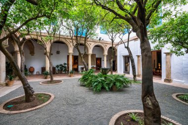 İspanya, Endülüs, Cordoba 'daki Viana Sarayı' nın avlusu. XV yüzyılda yapılmış. Viana Sarayı 12 muhteşem avlusu ve bahçesiyle bilinen bir turistik merkezdir..