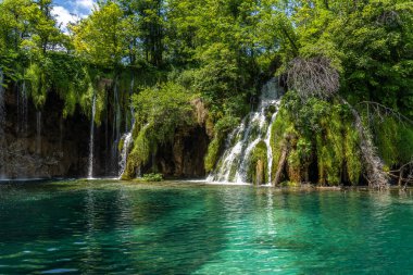 Hırvatistan 'ın Plitvice Gölleri Ulusal Parkı' nda turkuaz suyla şelalenin görkemli manzarası. Avrupa. Hırvatistan 'ın en eski ve en büyük ulusal parklarından biri. UNESCO Dünya Mirası