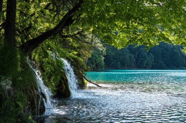 Hırvatistan 'ın Plitvice Gölleri Ulusal Parkı' nda turkuaz suyla şelalenin görkemli manzarası. Avrupa. Hırvatistan 'ın en eski ve en büyük ulusal parklarından biri. UNESCO Dünya Mirası
