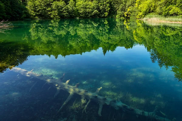 Hermoso Paisaje Parque Nacional Los Lagos Plitvice Croacia Uno Los —  Fotos de Stock