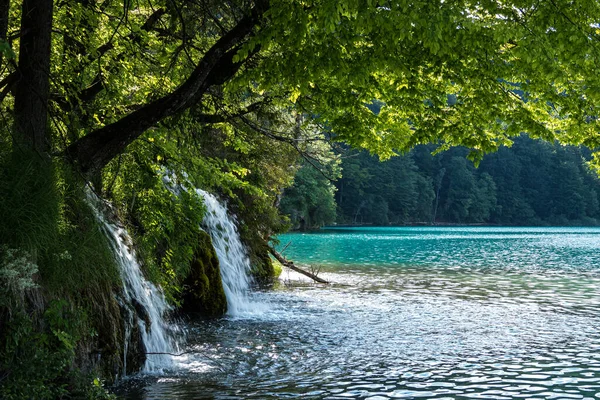 Величний Вигляд Водоспад Бірюзовою Водою Національному Парку Плітвіцькі Озера Хорватія — стокове фото