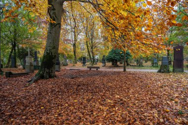 Münih, Almanya - 01 Kasım 2020: Tarihi mezar taşlarıyla ünlü Münih Eski Kuzey Mezarlığı manzarası. Cenazeler 1944 'ten beri burada yapılmadı. Bunun yerine mezarlık bir park olarak kullanılıyor..