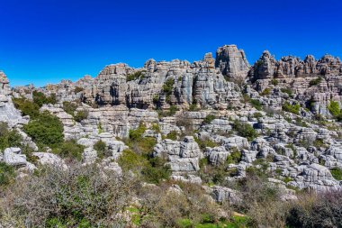 Kayaların eşsiz şekli, 150 milyon yıl önce Jurasik Çağı sırasında meydana gelen erozyondan kaynaklanmaktadır. Tüm dağ, deniz suyu altındaydı. Torcal de Antequera