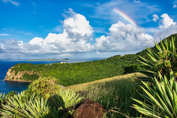 Chatham Bay Union Island Saint Vincent Grenadines Lesser Antilles West — Stock Photo, Image