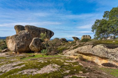 Los Barruecos Doğal Anıtı, Malpartida de Caceres, İspanya Extremadura.