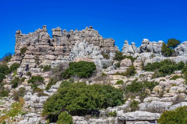 Kayaların eşsiz şekli, 150 milyon yıl önce Jurasik Çağı sırasında meydana gelen erozyondan kaynaklanmaktadır. Tüm dağ, deniz suyu altındaydı. Torcal de Antequera