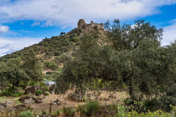 Castle Burguillos Del Cerro Provinsen Badajoz Extremadura Spanien — Stockfoto