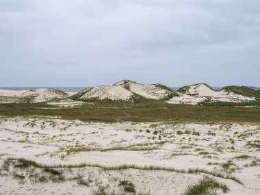 Kuzey Friesland, Almanya 'daki Amrum adasındaki Planks Yolu adlı kum tepeciği manzarası.