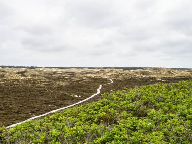 Kuzey Friesland, Almanya 'daki Amrum adasındaki Planks Yolu adlı kum tepeciği manzarası.