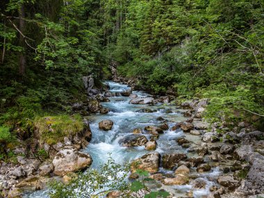 Hintersee Gölü 'ndeki Sihirli Orman Zauberwald ve Creek Ramsauer Ache. Ulusal Park Berchtesgadener Toprakları, Bavyera, Almanya.