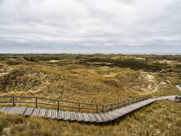 Sand Dune Landscape Overgrown Grass Island Amrum Germany Siatler Setzer — Stock Photo, Image