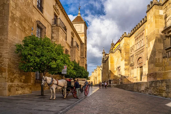 Cordoba Španělsko Října 2019 Pohled Mešitu Katedrálu Cordoba Mezquita Catedral — Stock fotografie