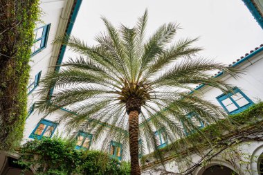 Cordoba, İspanya - 3 Kasım 2019: Cordoba, Endülüs 'teki Viana Sarayı' nın avlusu. XV yüzyılda yapılmış. Viana Sarayı 12 muhteşem avlusu ve bahçesiyle bilinen bir turistik merkezdir..