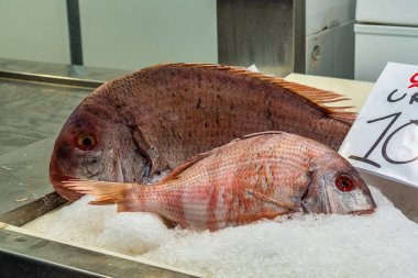 Cadiz, İspanya - 16 Kasım 2019: Cadiz şehir merkezindeki markette alışveriş, Mercado Central de Abastos. Cadiz, Endülüs, İspanya.