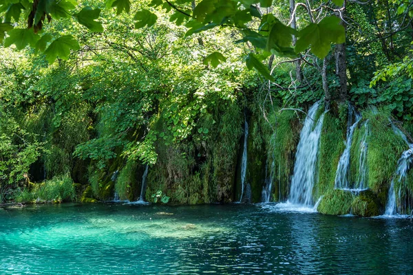 Majestätisk Utsikt Över Vattenfallet Med Turkost Vatten Plitvicesjöarnas Nationalpark Kroatien — Stockfoto