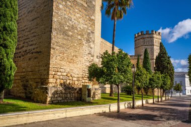 Jerez de la Frontera 'daki Fas Alcazar Kalesi, Endülüs İspanya