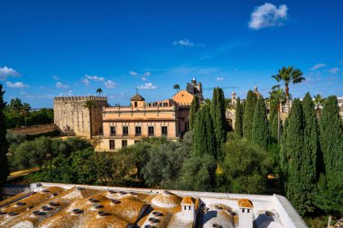 Jerez de la Frontera 'daki Fas Alcazar Kalesi, Endülüs İspanya