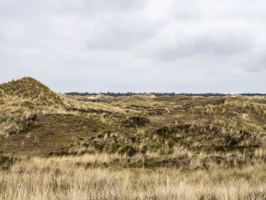 Kuzey Friesland, Almanya 'daki Amrum adasındaki Planks Yolu adlı kum tepeciği manzarası.