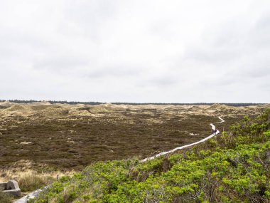 Kuzey Friesland, Almanya 'daki Amrum adasındaki Planks Yolu adlı kum tepeciği manzarası.
