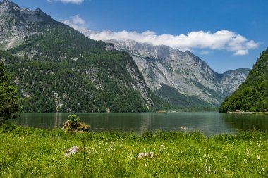 Watzmann Massif 'in arkasındaki Obersee Gölü manzarası, Koenigssee Salet, Berchtesgaden Ulusal Parkı, Bavyera, Yukarı Bavyera, Almanya, Avrupa