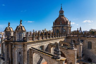 Jerez de la Frontera Katedrali, Katedral de San Salvador. Cadiz, Endülüs, İspanya
