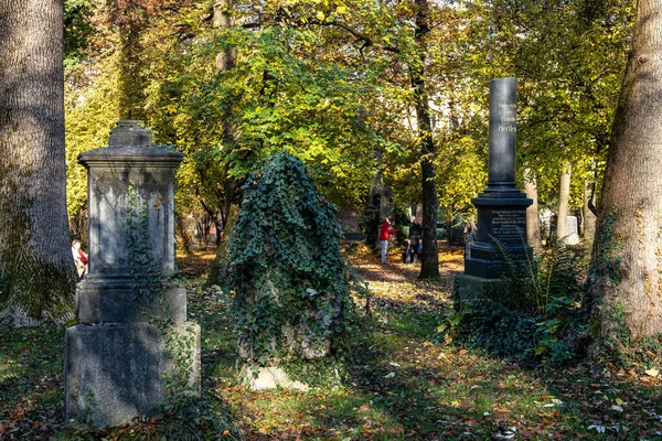 Monaco Baviera Germania Nov 2020 Veduta Del Famoso Cimitero Vecchio — Foto Stock