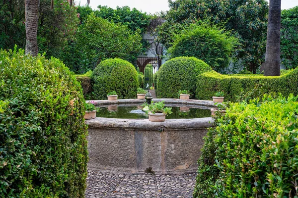 Cordoba Španělsko Listopadu 2019 Zahrada Nádvoří Paláce Viana Córdobě Andalusie — Stock fotografie