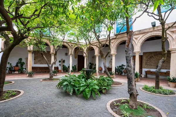 Cordoba Španělsko Listopadu 2019 Zahrada Nádvoří Paláce Viana Córdobě Andalusie — Stock fotografie